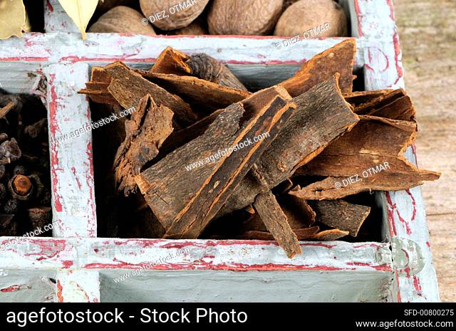 Cinnamon bark in old type case