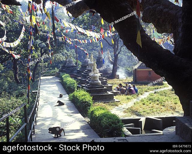 Buddhist temple, near Swayambhunath stupa, Kathmandu, Nepal, Kathmandu, Asia