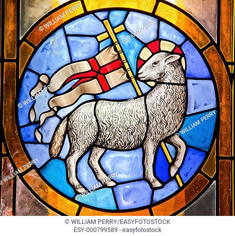 Lamb with Cross Stained Glass Duomo Basilica Cathedral, Church Florence Italy