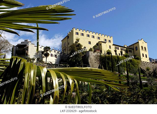 Palm trees in the garden of Trauttmansdorff castle, Museum in the background, Meran, South Tyrol, Italy