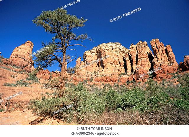 Towering red sandstone cliffs viewed from the Broken Arrow Trail, Sedona, Arizona, United States of America U.S.A., North America