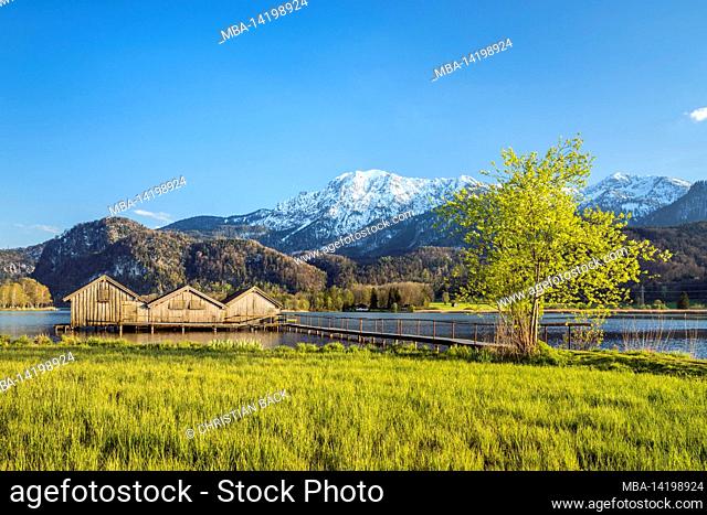 Boat huts on the Kochelsee in front of the Herzogstand, Schlehdorf, Upper Bavaria, Bavaria, Germany