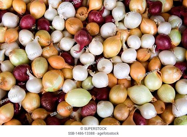 USA, Washington, Seattle, Pearl onions on market stall at Pike Place Public Market