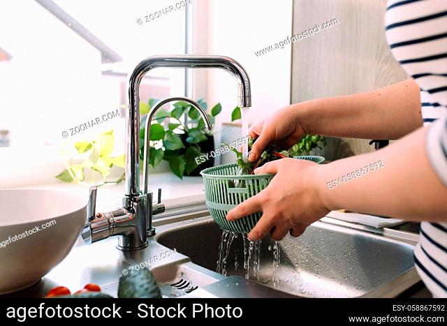Woman washing green salad leaves for salad in kitchen in sink under running water. High quality photo