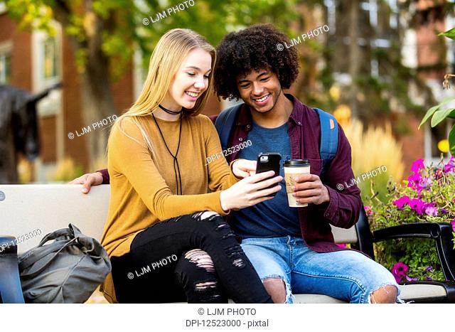 Young dating couple who are university students sitting on a bench on campus and looking at social media on a smart phone; Edmonton, Alberta, Canada
