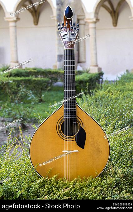 Close view of a traditional Portuguese guitar on top of an arranged garden