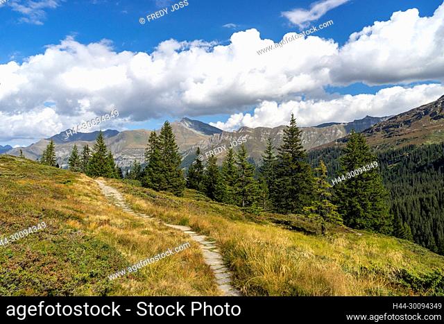 Bergwanderweg im Hochmoor namens Kristalloch in der Zervreila-Region, Valser Tal, Graubünden. Hinten Piz Tomül oder Wissasteihora und links der Crap Grisch oder...
