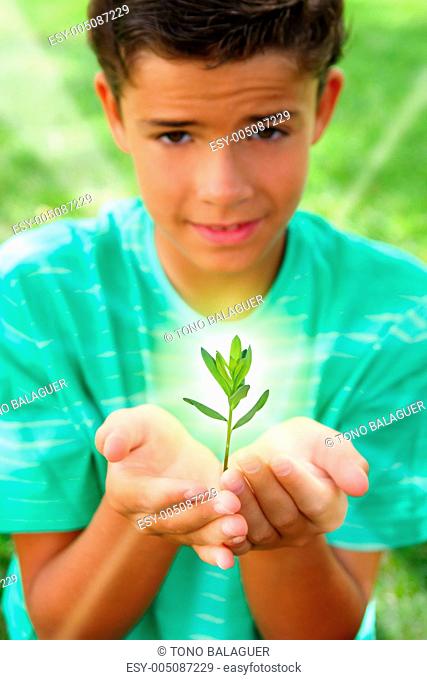 plant sprout growing glow light teenager boy hands