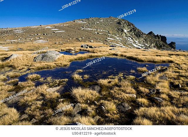 Summits of Sierra de Gredos  Alpine meadows pooling near Morezón and Navasomera  Sierra de Gredos Regional Park  Navacepeda de Tormes  Avila  Castilla y Leon...