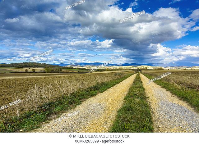 Way in an agricultural landscape. Trokoniz. Alava, Spain, Europe
