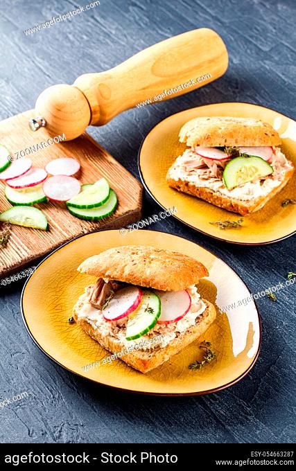 Delicious sandwich with cream cheese, tuna and fresh vegetables, cucumber and radish on a plate. Delicious vegetarian healthy food, close-up