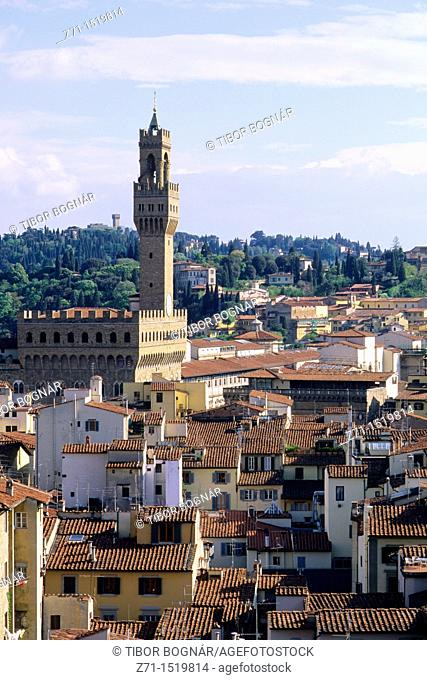 Italy Florence skyline