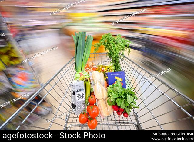 30 August 2023, Lower Saxony, Hanover: ILLUSTRATION - A shopping cart filled with groceries is pushed through a supermarket (posed scene
