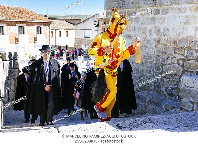 The Brotherhood of Santísimo Sacramento de Minerva and the Colacho on procession route traversing the town. It is a traditional festival held annually in the...
