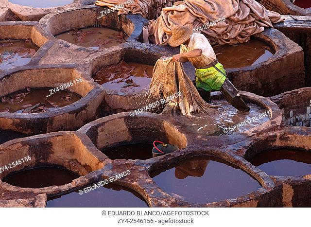 Man working with leather. Tanneries. Fez El Bali. Fez. Morocco. North Africa. Africa