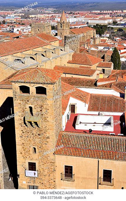 Palace of Golfines de Abajo and church of Santa Maria, Caceres, Spain