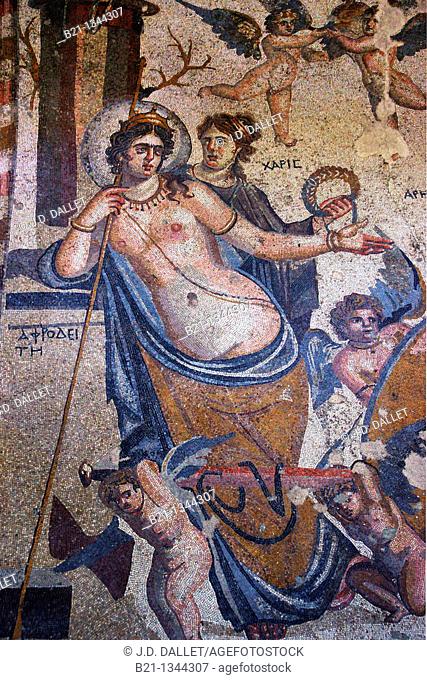 Syria, Hauran, Museum of Shahba: detail of the mosaic of Aphrodite and Aris love, 3rd Century