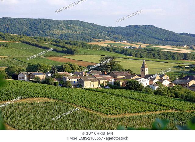 France, Saone et Loire, village of Milly Lamartine, vineyard of Maconnais