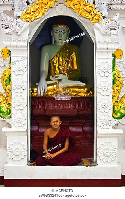 A young MONK sits below a BUDDHA STATUE at the SHWEDAGON PAYA or PAGODA which dates from 1485, MYANAMAR, Yangon