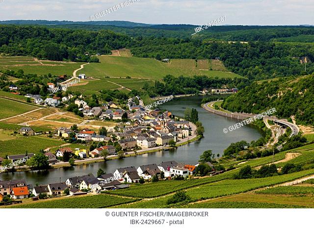 The town of Machtum on a loop of the Moselle river, Moselle Valley, Luxembourg, Europe