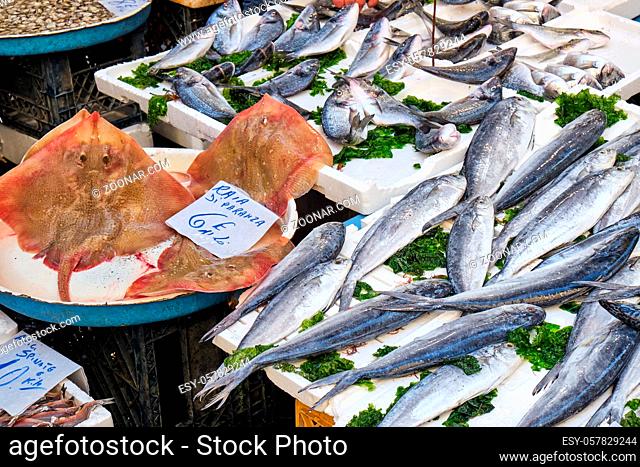 Verschiedene Arten von Fisch zum Verkauf auf einem Markt