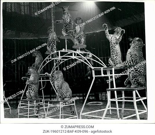 Dec. 12, 1960 - Dress rehearsals for Bertram Mills circus: More than 6, 000 children attended the dress rehearsals today of the Bertram Mills circus - at...