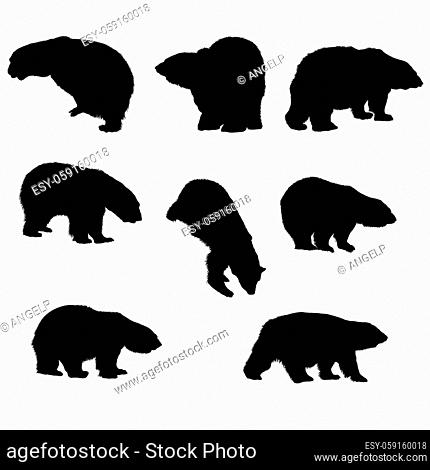 8 bear silhouettes. Smooth and Clean Lines. High detailed bear silhouettes. Vector Illustration