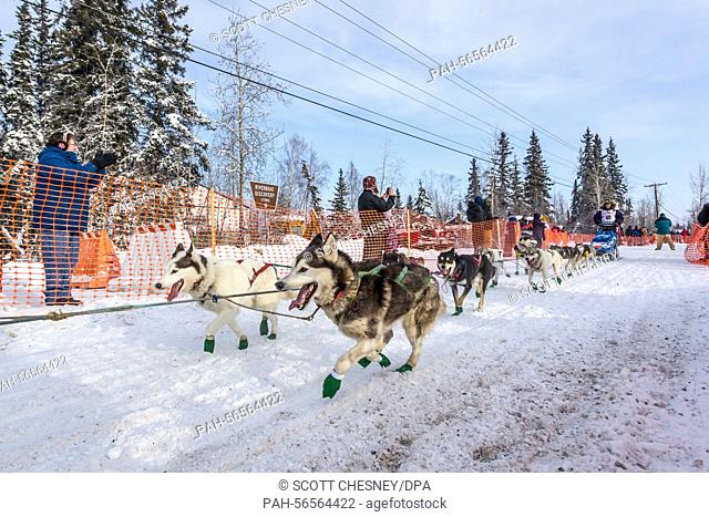 Lev Shvarts and his team of Siberian Huskies at the start of the 2015 Iditarod Sled Dog Race in Fairbanks, Alaska, 09 March, 2015