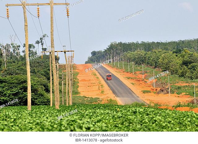 Deforestation of the Amazon rainforest for road construction and cultivation of soybeans, the main cause for the progressive destruction of the Amazon...