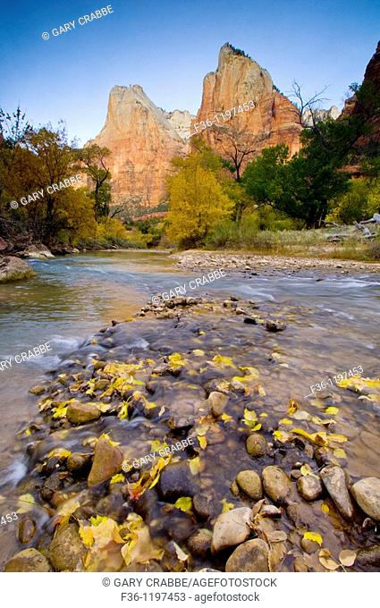 Morning light on The Court of the Patriarchs above the Virgin River, Zion Canyon, Zion National Park, Utah