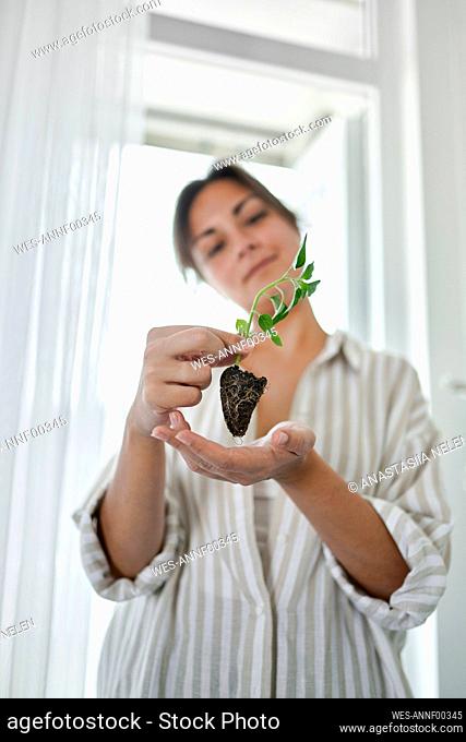 Woman with basil sprout standing at home