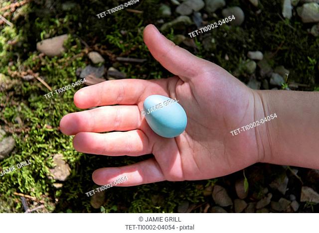 Girl's hand holding blue egg