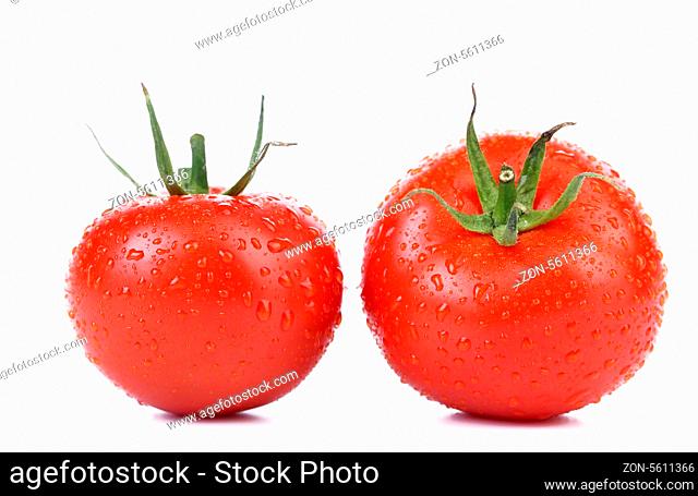 Two red ripe tomatoes isolated. Drops water