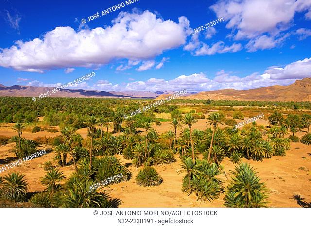 Djebel Kissane, Agdz, Palm Grove, Oasis, Draa Valley, Souss-Massa-Draa region, Valley of the Draa river, Anti Atlas, Morocco, Maghreb, North Africa