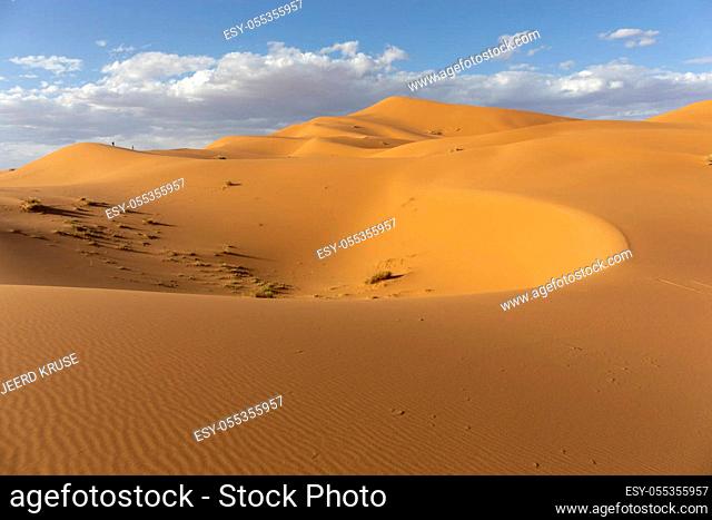 Sahara Desert, Erg Chebi dunes. Merzouga, Morocco, Africa