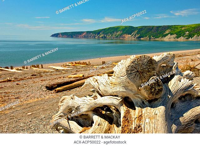 Driftwood on beach, Advocate Harbour, Bay of Fundy, Nova Scotia, Canada
