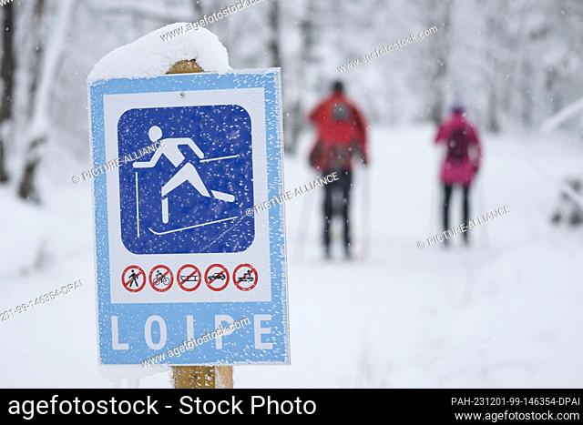 01 December 2023, Saxony, Altenberg: Skiers on a cross-country ski trail. After plenty of fresh snow, Saxony heralds the start of the ski season