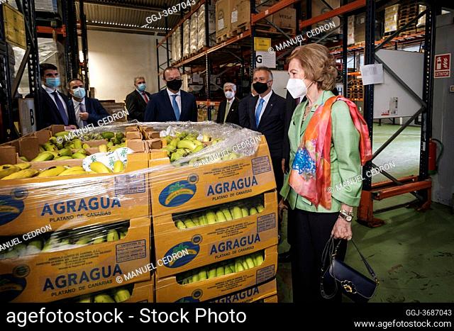 The former Queen Sofia attends Food Bank of Las Palmas de Gran Canaria on October 29, 2020 in Las Palmas , Spain