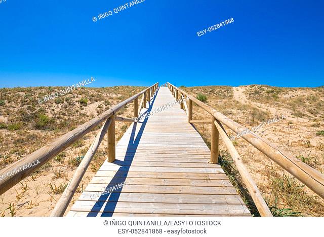 scenery of footbridge with wooden planks to the blue sky horizon in Natural Park of Trafalgar Cape, next to Canos Meca village (Barbate, Cadiz, Andalusia