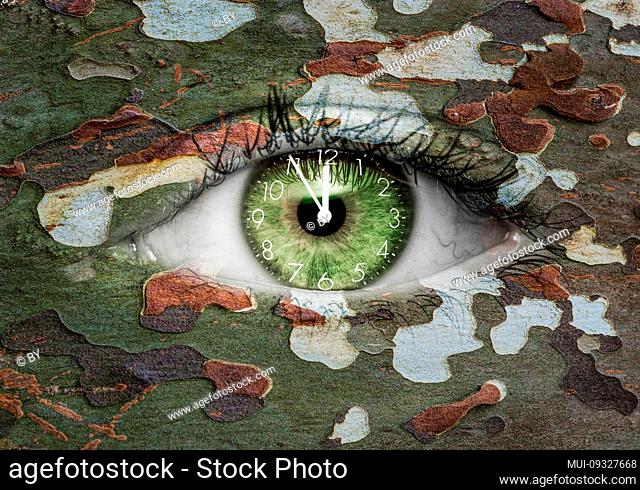 Green eye with clock-face and camoflage pattern