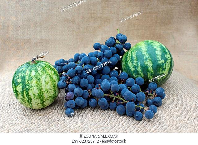 still life from fruits of two watermelons and blue