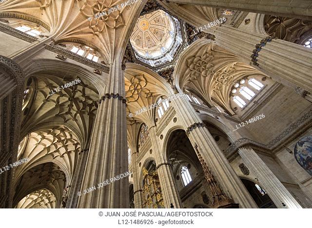 Interior New Cathedral, Salamanca, Castilla y león, Spain
