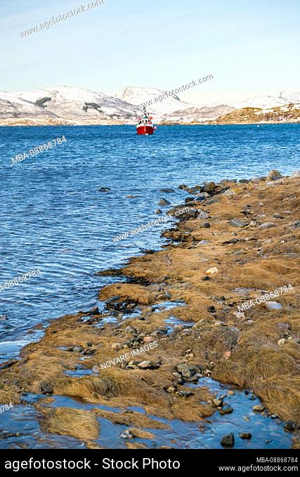 Fishing boat in the bay of Bogen, Kvaloya island, Norway
