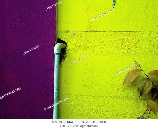 Green and lilac wall with baby blue waterpipe