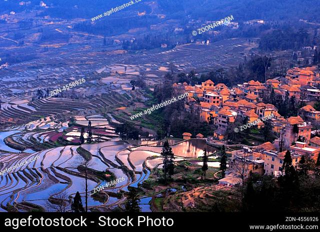 Famous Terraced rice Fields in Yunnan China