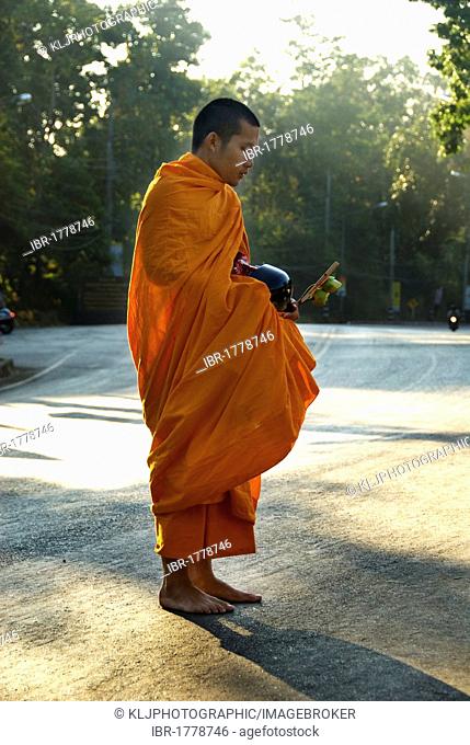 Buddhist in the early morning tradition of gathering alms in Chiang Mai, Thailand, Asia