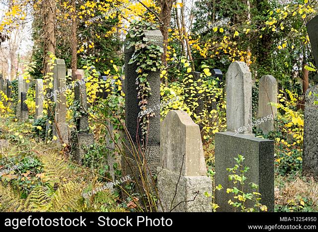 Berlin, Jewish cemetery Berlin Weissensee, largest surviving Jewish cemetery in Europe, autumn mood, ivy tendrils