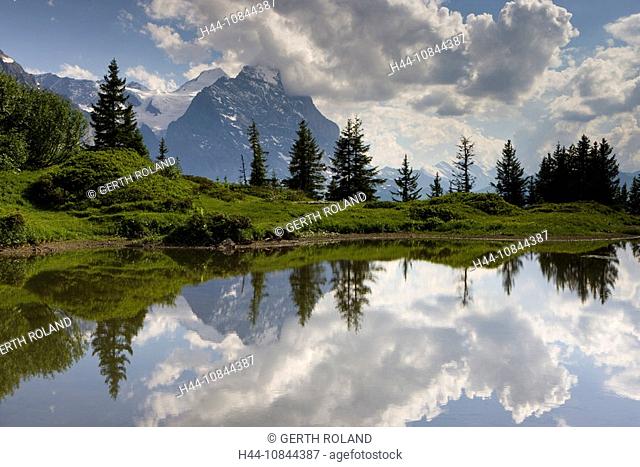 Switzerland, Europe, Grosse Scheidegg, Mountain, Mountains, Alps, Alpine, Canton Bern, Berne, Bernese Oberland, scener