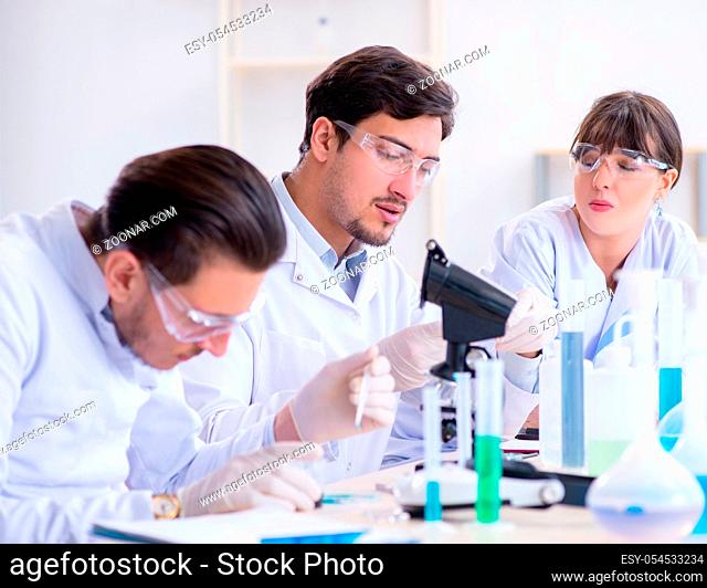The team of chemists working in the lab