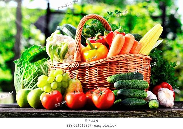 Wicker basket with assorted raw organic vegetables in the garden